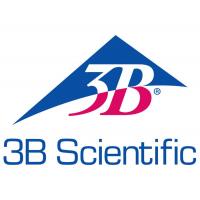 3B Scientific